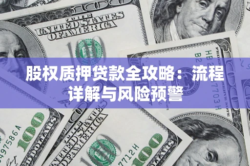 武汉股权质押贷款全攻略：流程详解与风险预警