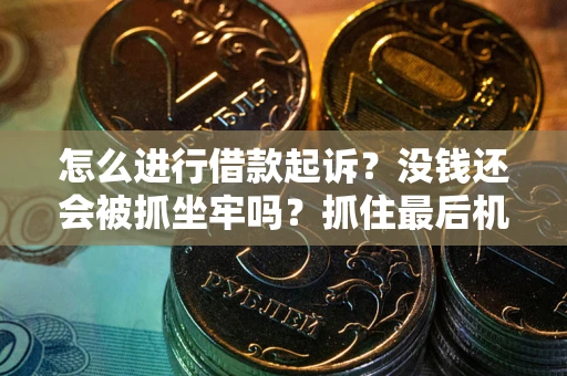 武汉怎么进行借款起诉？没钱还会被抓坐牢吗？抓住最后机会！