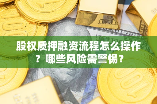 武汉股权质押融资流程怎么操作？哪些风险需警惕？