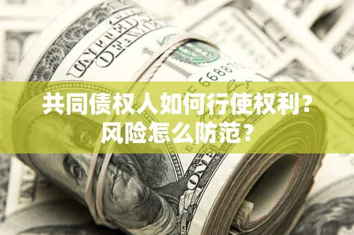 武汉共同债权人如何行使权利？风险怎么防范？