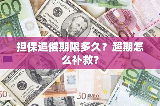 武汉担保追偿期限多久？超期怎么补救？