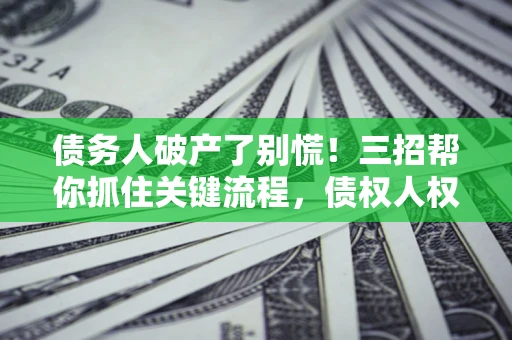 武汉债务人破产了别慌！三招帮你抓住关键流程，债权人权益不再缩水