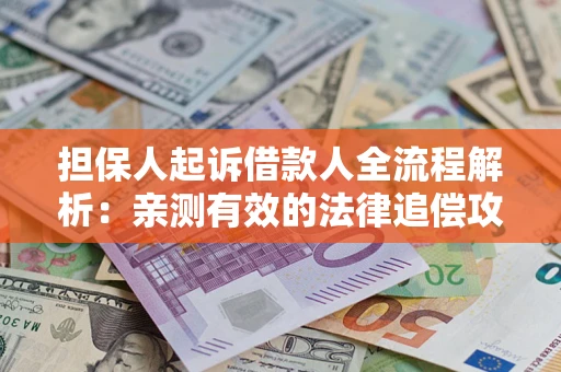 武汉担保人起诉借款人全流程解析：亲测有效的法律追偿攻略