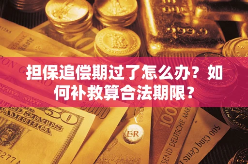 武汉担保追偿期过了怎么办？如何补救算合法期限？