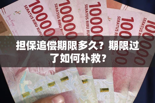 武汉担保追偿期限多久？期限过了如何补救？