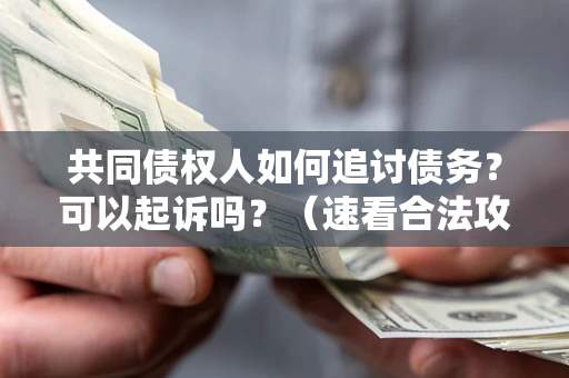 武汉共同债权人如何追讨债务？可以起诉吗？（速看合法攻略）