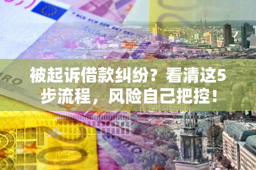 武汉被起诉借款纠纷？看清这5步流程，风险自己把控！