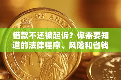 武汉借款不还被起诉？你需要知道的法律程序、风险和省钱技巧